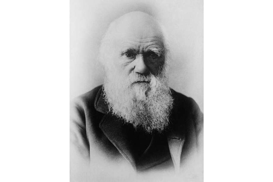 Los documentos de Charles Darwin se conocen como 'Cuadernos de Transmutación', debido a que él teorizó por primera vez cómo las especies podrían "transmutar" de formas ancestrales a formas posteriores.