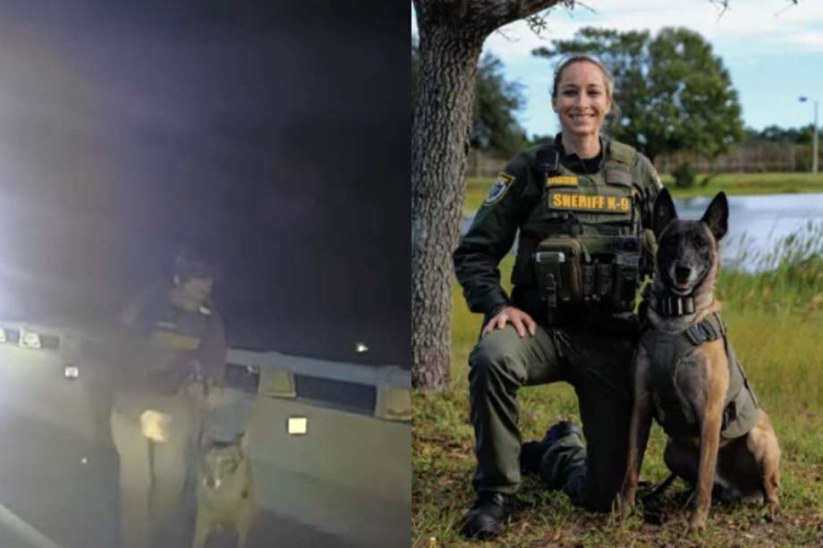 es un perro k9 un oficial de policia