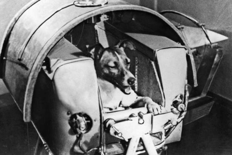¿Por qué el mundo llora a Laika, la perra enviada a morir en el espacio?