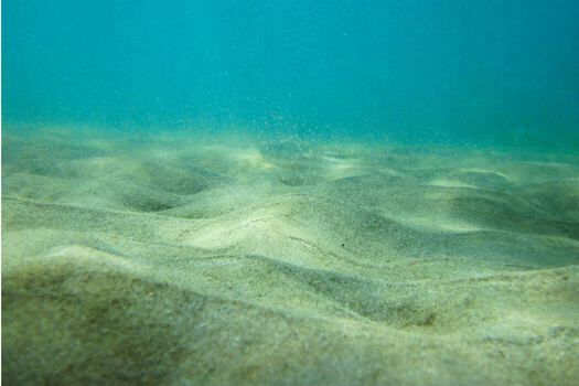 Investigaciones previas ya habían identificado la presencia de estos materiales en los fondos marinos del Atlántico. Ahora, los mares europeos también hacen parte del problema.  / Pixabay