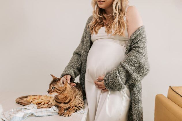 Estoy embarazada y tengo un gato, ¿qué debo hacer?