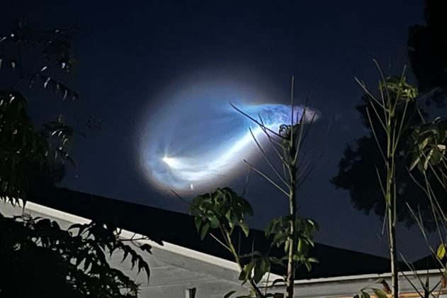 Video: ¿qué era la “medusa espacial” que apareció en el cielo de Florida?