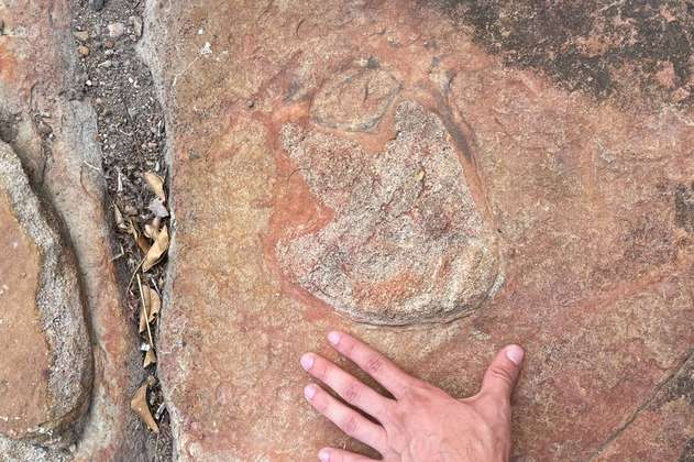 Descubren arte rupestre de más de 9 mil años entre huellas de dinosaurio en Brasil