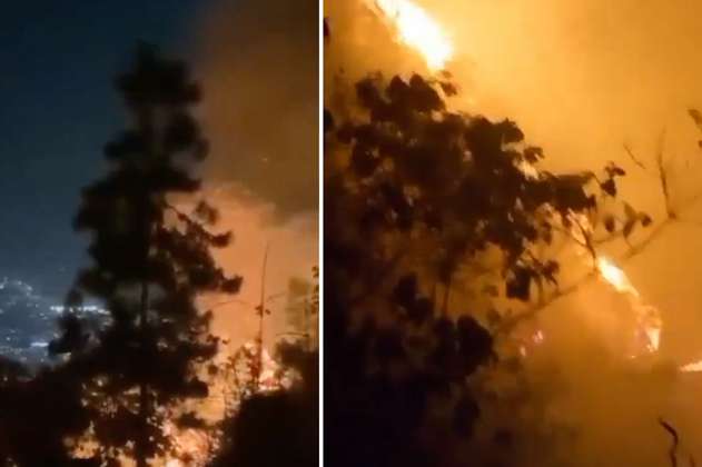 Incendio forestal en Santander: cerca de 50 hectáreas han resultado afectadas