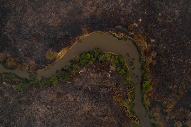 ¿Por qué Pantanal, el mayor humedal del planeta, está en llamas?