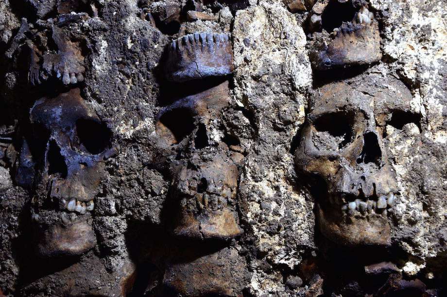 Localizan el costado este y la fachada externa de la torre de cráneos del Huei Tzompantli de Tenochtitlan.Foto Melitón Tapia INAH