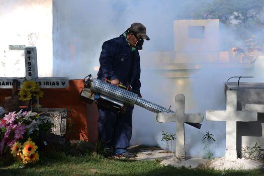 En Honduras fumigan para prevenir la propagación del “aedes aegypti”, el mosquito transmisor de dengue y zika. / AFP