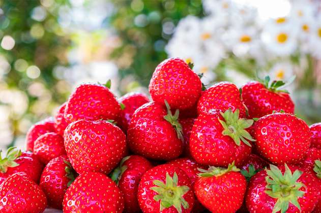 Fresas: beneficios y propiedades que te sorprenderán de esta fruta