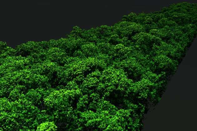 Así están mapeando el carbono disponible en la Amazonia