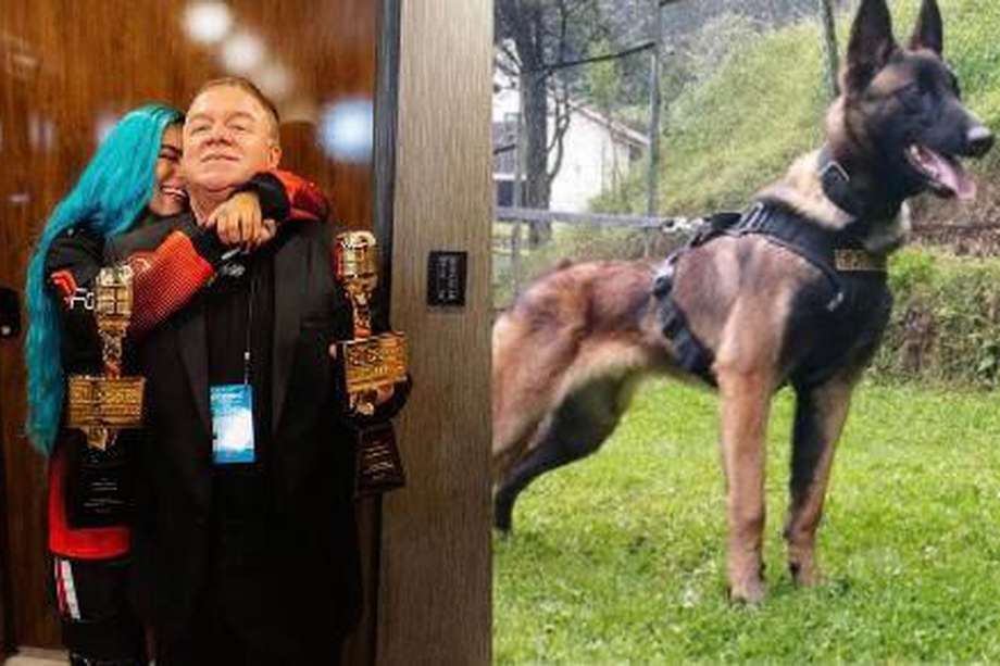 El empresario publicó una foto de Wilson pidiendo a las Fuerzas Militares no detener la búsqueda del canino.