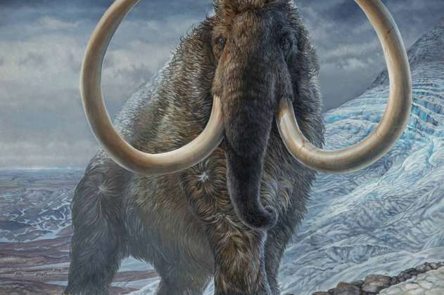 Científicos lograron reconstruir la ruta que recorría un mamut hace 17.000 años