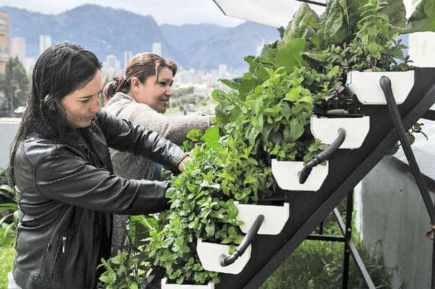 Las mujeres que cultivan en las terrazas del centro de Bogotá