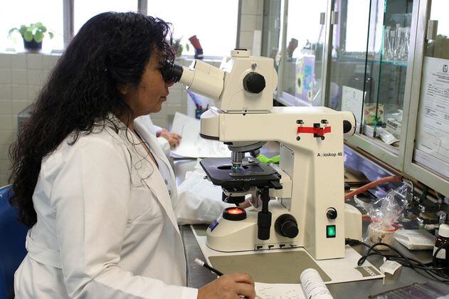 Colombia se une a OWSD, organización para científicas en países en desarrollo