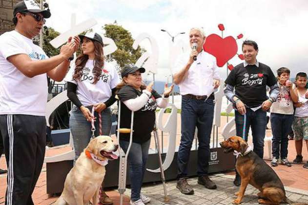 “Zoolidarízate”, la campaña que invita a respetar a los animales en Bogotá
