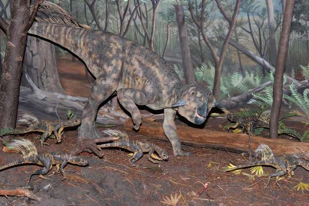 ¿Los dinosaurios tenían “ombligo”? Hay pruebas de que al menos uno sí