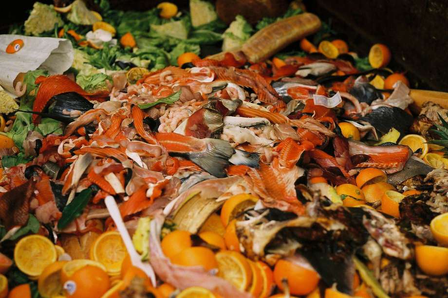 El 75% de la población mundial desperdicia alimentos en sus hogares.