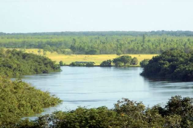 Lo que descubrió la expedición científica al río Bita, el rincón virgen del Orinoco