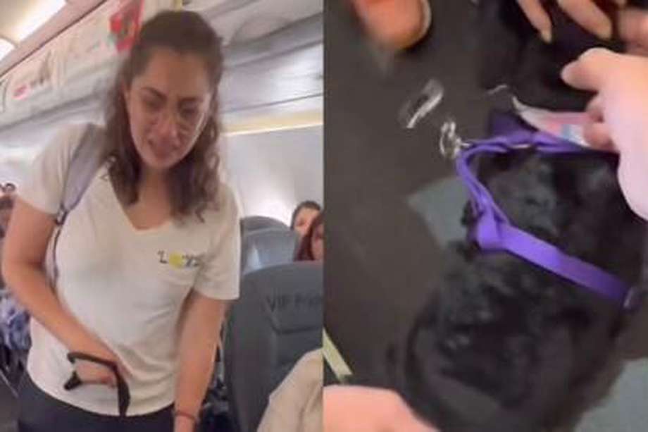En las imágenes se puede observar a la pasajera llorando y siendo apoyada por los demás viajeros, quienes rechazaron la decisión de aerolínea y aseguraron que “el perro no era peligroso”. 