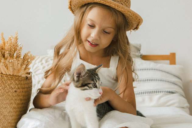 5 razas de gatos tranquilas para convivir con niños