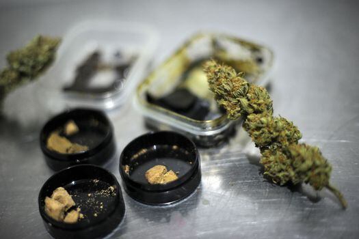 El mundo corre hacia la regulación y los estudios muestran que el cannabis no puede compararse con drogas duras. ¿Qué esperamos para cambiar de enfoque? / Foto: El Espectador