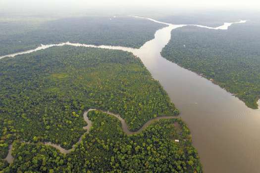 Por el momento, tan solo se conoce la idea de formar un “bloque amazónico”, como sugirió la ministra de Ambiente, Susana Muhamad, pero no hay mayores detalles.