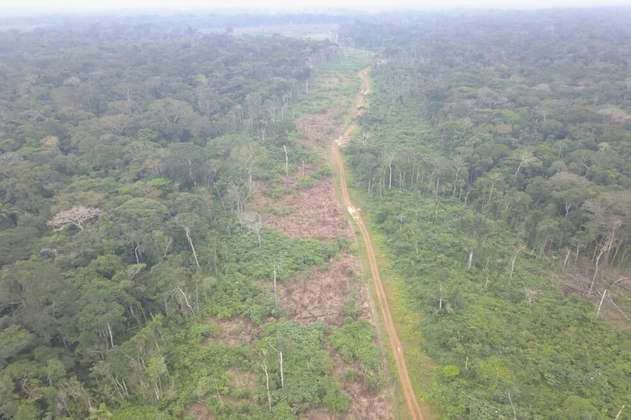 La carretera en plena selva que tiene en líos a dos alcaldes del Guaviare