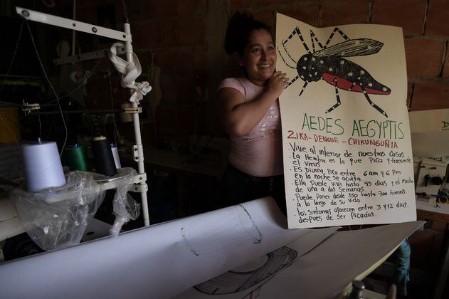 Grandes victorias en la eterna batalla contra el dengue