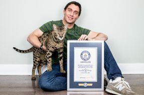 (Fotos) Así es Fenrir, el gato doméstico vivo más alto del mundo