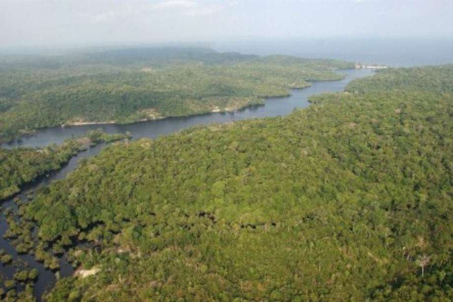 En la Amazonía de Brasil las emisiones por cambios en el uso de la tierra el año pasado (2020) alcanzaron los 782 millones de toneladas de CO2. 
