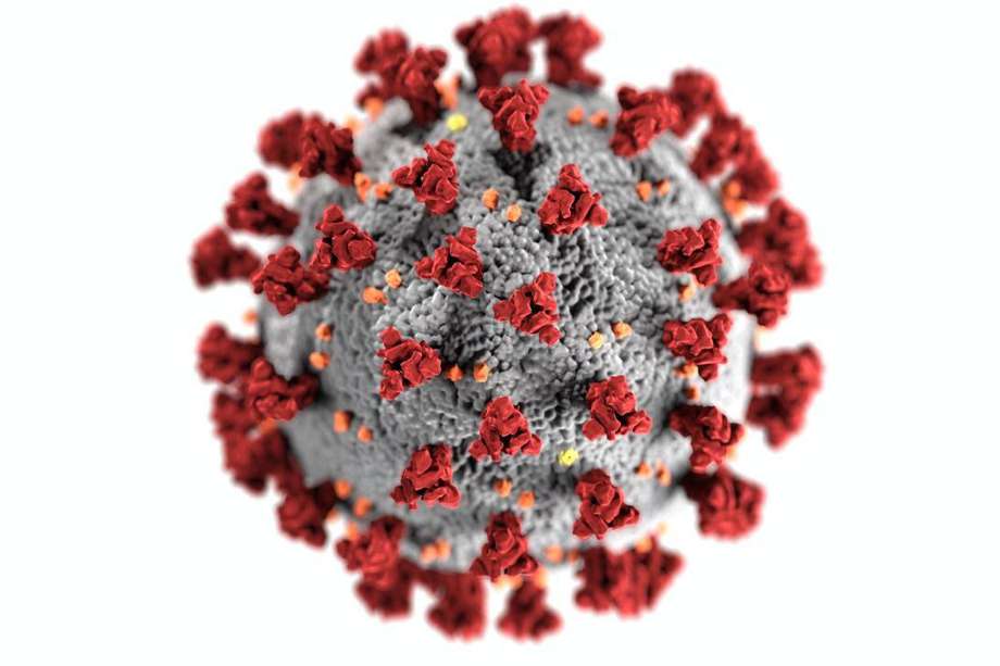 Representación del virus SARS-Cov-2 a nivel molecular. 