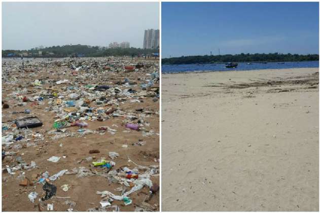La playa en India que pasó de ser un basurero a hogar de tortugas