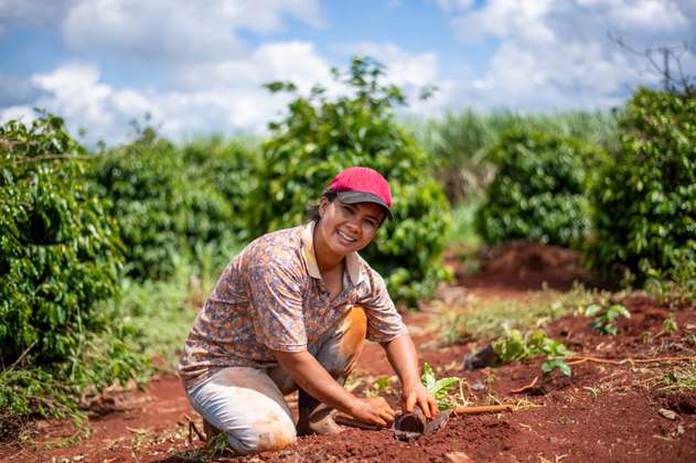 Emprendedoras de Guaviare, Guainía y Vaupés: abren programa de capacitación gratis