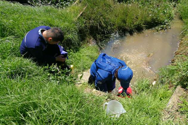 Hallan vertimientos ilegales que contaminan humedal Gualí en Funza, Cundinamarca