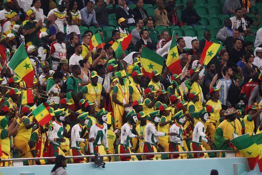 Los hinchas de Senegal se rehúsan a dejar de soñar con una participación histórica en tierras cataríes.