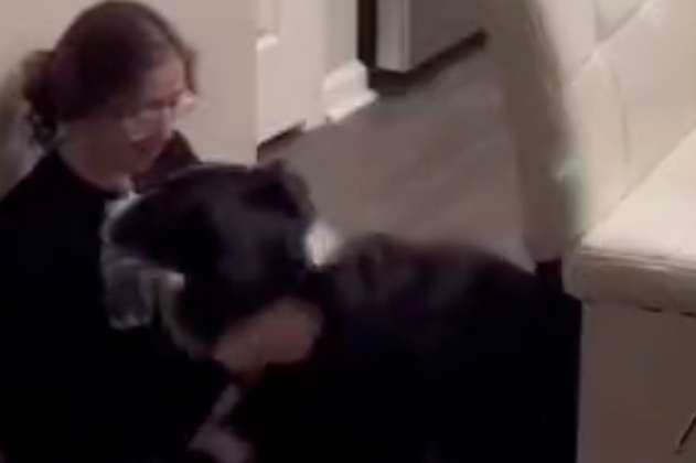 (Video) Perrito le lleva medicamentos a su dueña enferma y la salva de un desmayo
