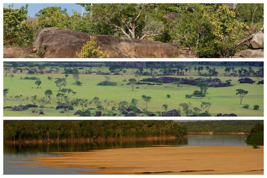 En la reserva ecológica, de 548.000 hectáreas, se encuentran seis ríos, entre ellos el Orinoco y el Tuparro.  / Fotos: Parque El Tuparro y Guardaparques Voluntarios