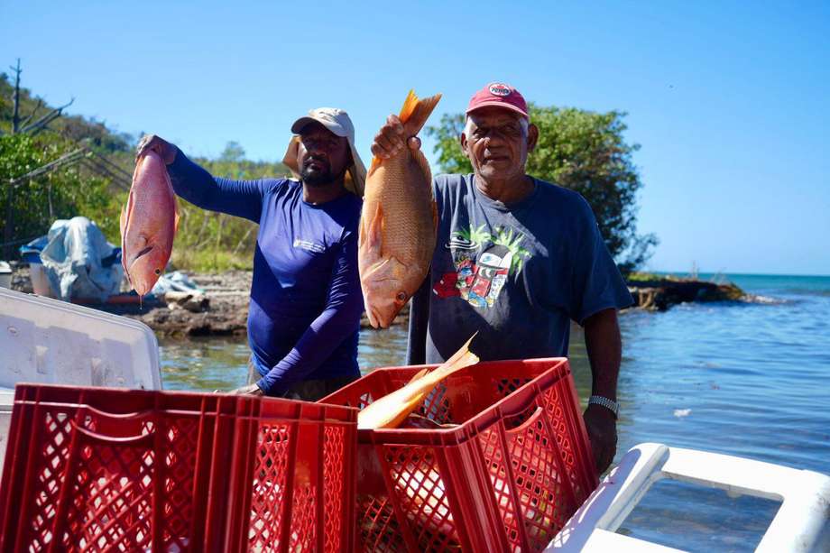 La pesca artesanal en providencia recibe inversión de $21 mil