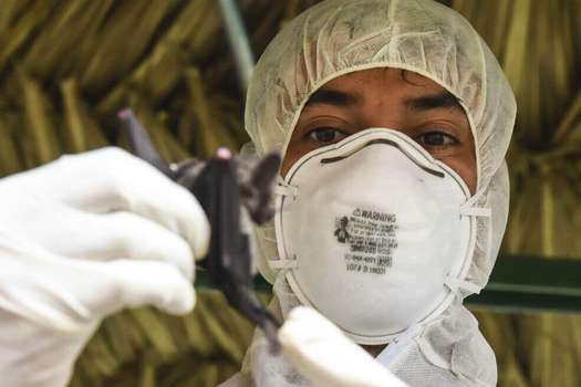 Pese a que el coronavirus se ha propagado de manera acelerada y ya está en más de cuarenta países, es considerado por algunos epidemiólogos como una enfermedad leve para la mayoría de infectados. / Airman Dustin Mullen
