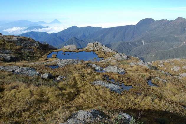 Prohibirán los plásticos de un solo uso en Parques Nacionales Naturales de Colombia