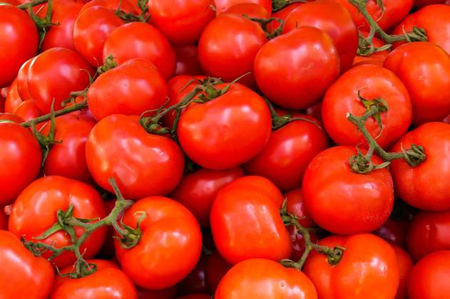 Disfruta del sabor del tomate con estas tres recetas