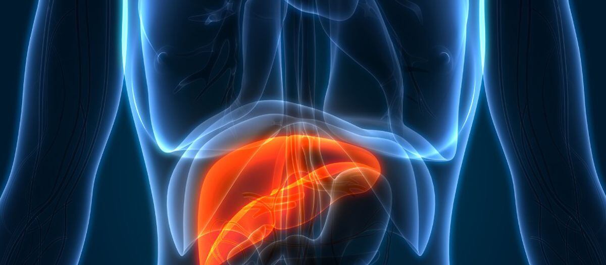 ¿Médicos podrían anticipar el transcurso clínico del cáncer de hígado?