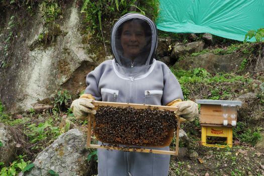 Sandra Ortegón, apicultora en el municipio de Pandi (Cundinamarca).  / Laura Salomón