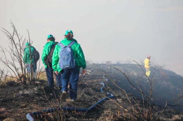 Autoridades rescatan animales silvestres afectados por incendios forestales en Colombia