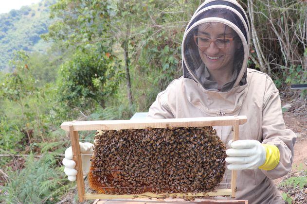 Una empresa apicultora que apunta hacia el sostenimiento responsable de abejas 