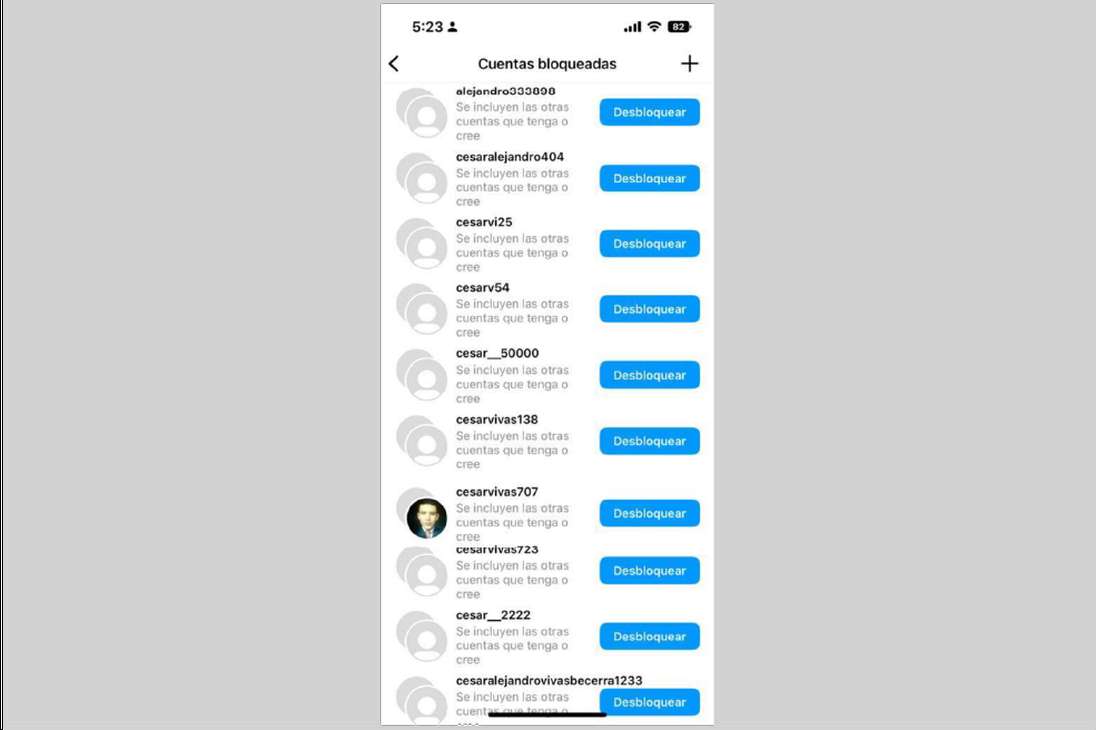Listado de perfiles que creó Cesar Vivas en Instagram para acosar a Lina Rezk.