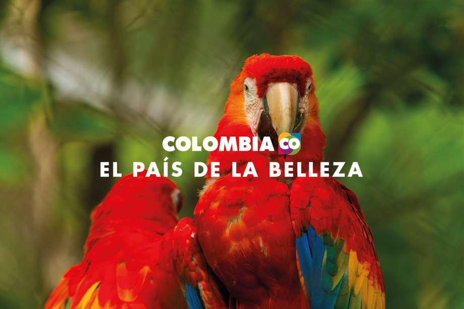 ‘Colombia, el país de la belleza’, que resalta los atractivos naturales y culturales que hacen de este un destino único para los negocios y el turismo.