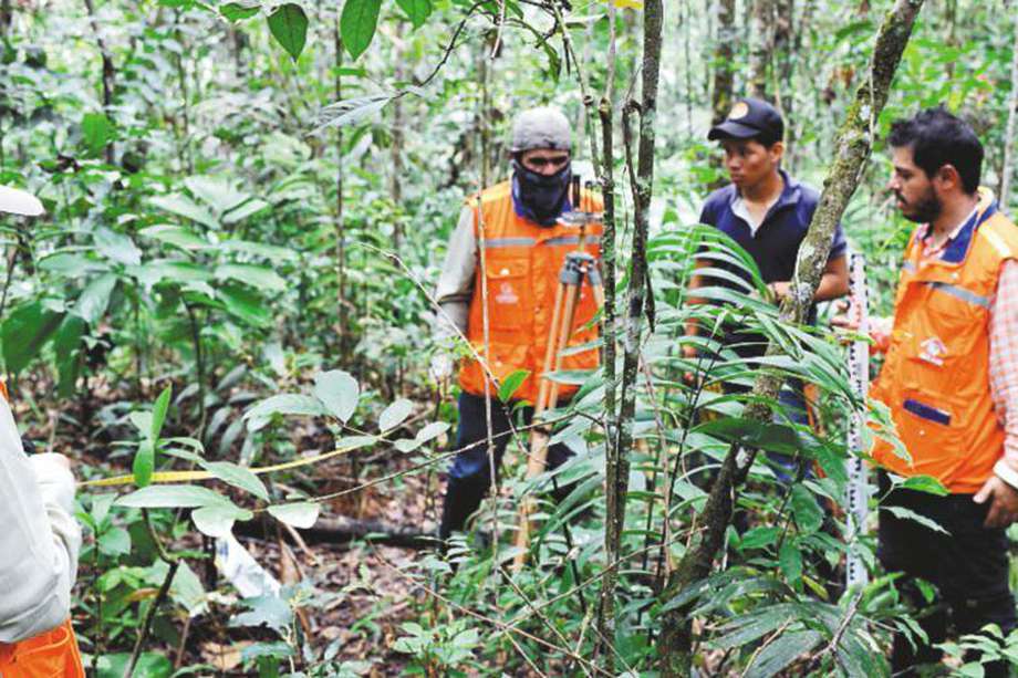 Primera expedición forestal caminando los bosques colombianos