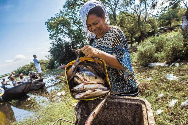 La “app” con la que pescadores ayudarán a cuidar la cuenca del Magdalena