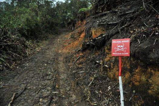 El Comité Internacional de la Cruz Roja (CICR) señaló que en 2018 un total de 221 personas fueron víctimas de minas antipersona y de artefactos explosivos en Colombia.
 / Archivo El Espectador