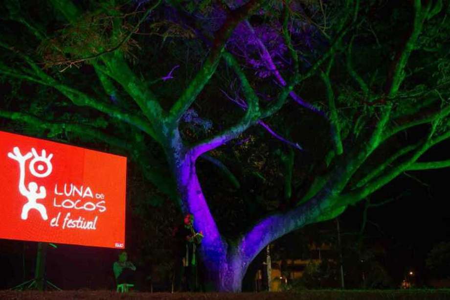 En el parque Olaya Herrera de Pereira está la ceiba llamada el Árbol de los Poetas. Es uno de los símbolos del Festival Luna de Locos y este año ambientará el homenaje que más de 30 escritores harán a Giovanny Gómez.